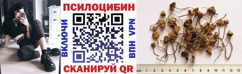 Псилоцибиновые грибы Cubensis  закладка  Приморско-Ахтарск 