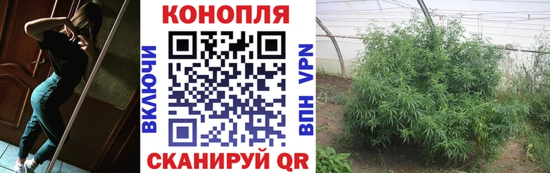 Бошки марихуана планчик  цены наркотик  Приморско-Ахтарск 